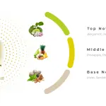 Hareem Al Sultan Concentrated Oil Perfume