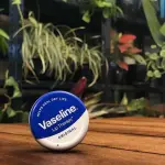 Vaseline Original Lip Therapy