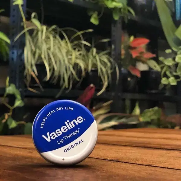 Vaseline Original Lip Therapy